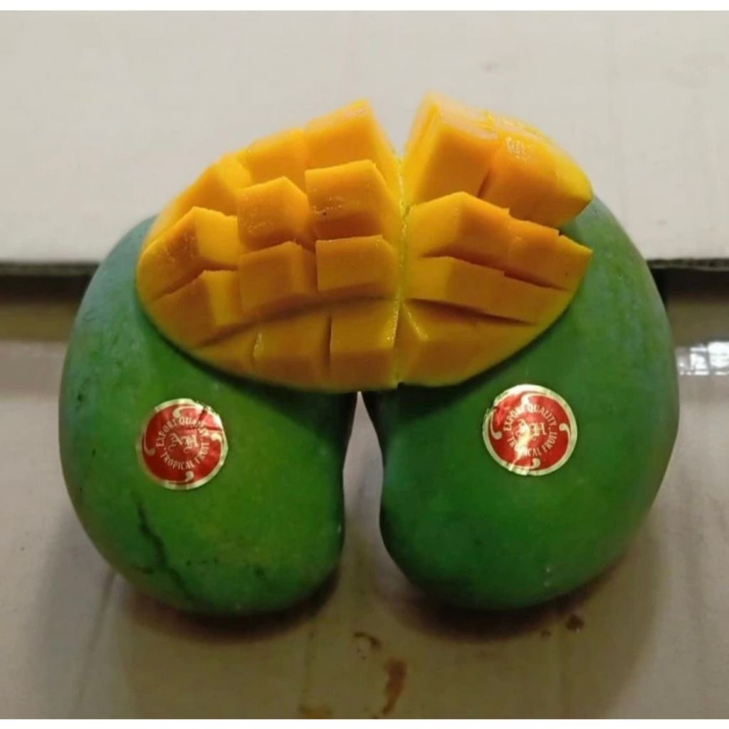 

mangga harumanis alpukat tua pohon super 6kg