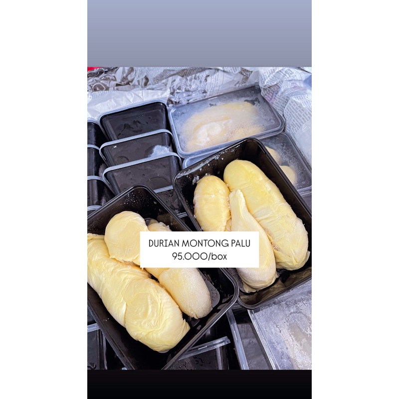 DURIAN MONTONG PALU