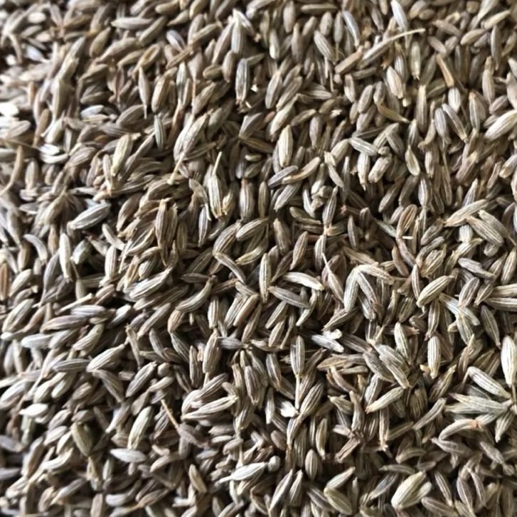 

Cumin Seed / Jintan Jeera / Jintan India 10 Kg