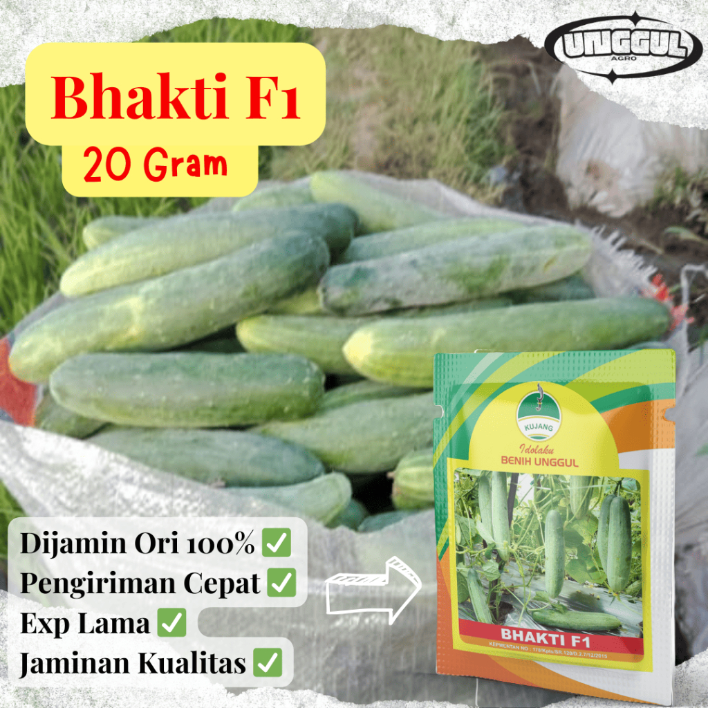 PROMO BENIH TIMUN BHAKTI F1 CAP KUJANG 20gr