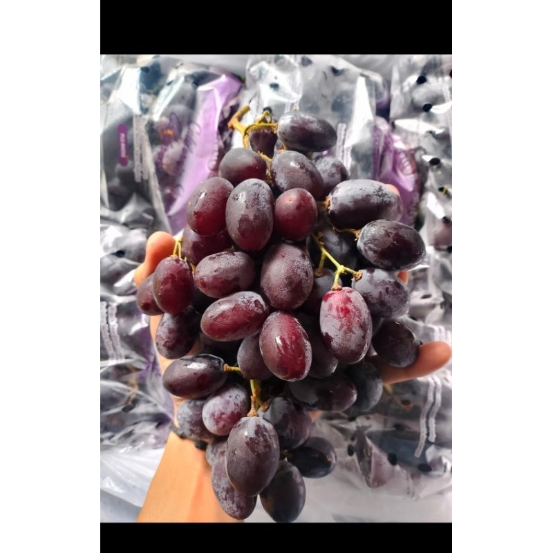 

anggur Autumn royal USA 500g