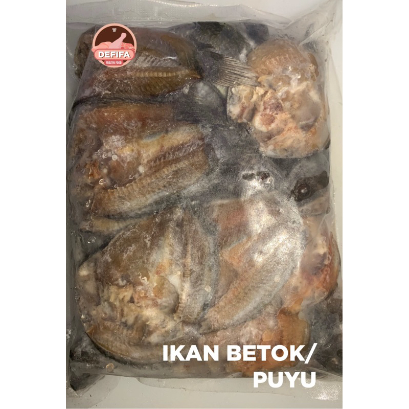 

Ikan Betok Puyu