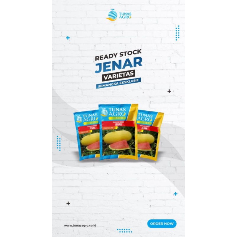 BENIH SEMANGKA JENAR F1, SEMANGKA EKSLUSIVE DAGING BUAH MERAH KULIT KUNING TUNAS AGRO