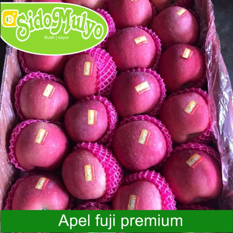 

Apel Fuji Premium ukuran sedang fresh merah ( manis ) ud sidomulyo fresh