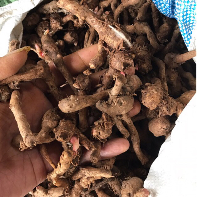 

kunci bumbu masak 1kg