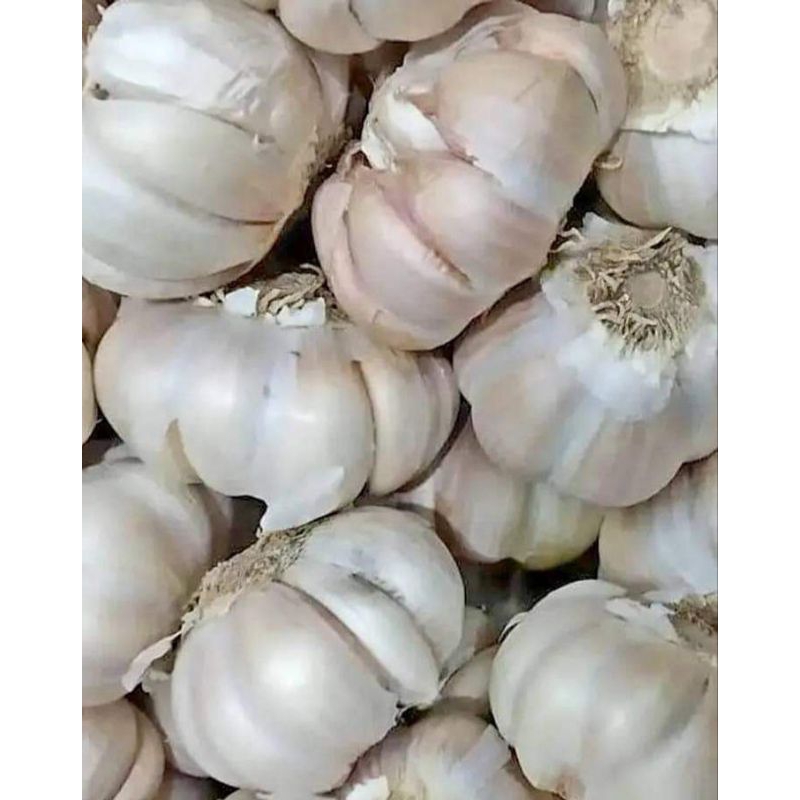 

bawang putih (500g)