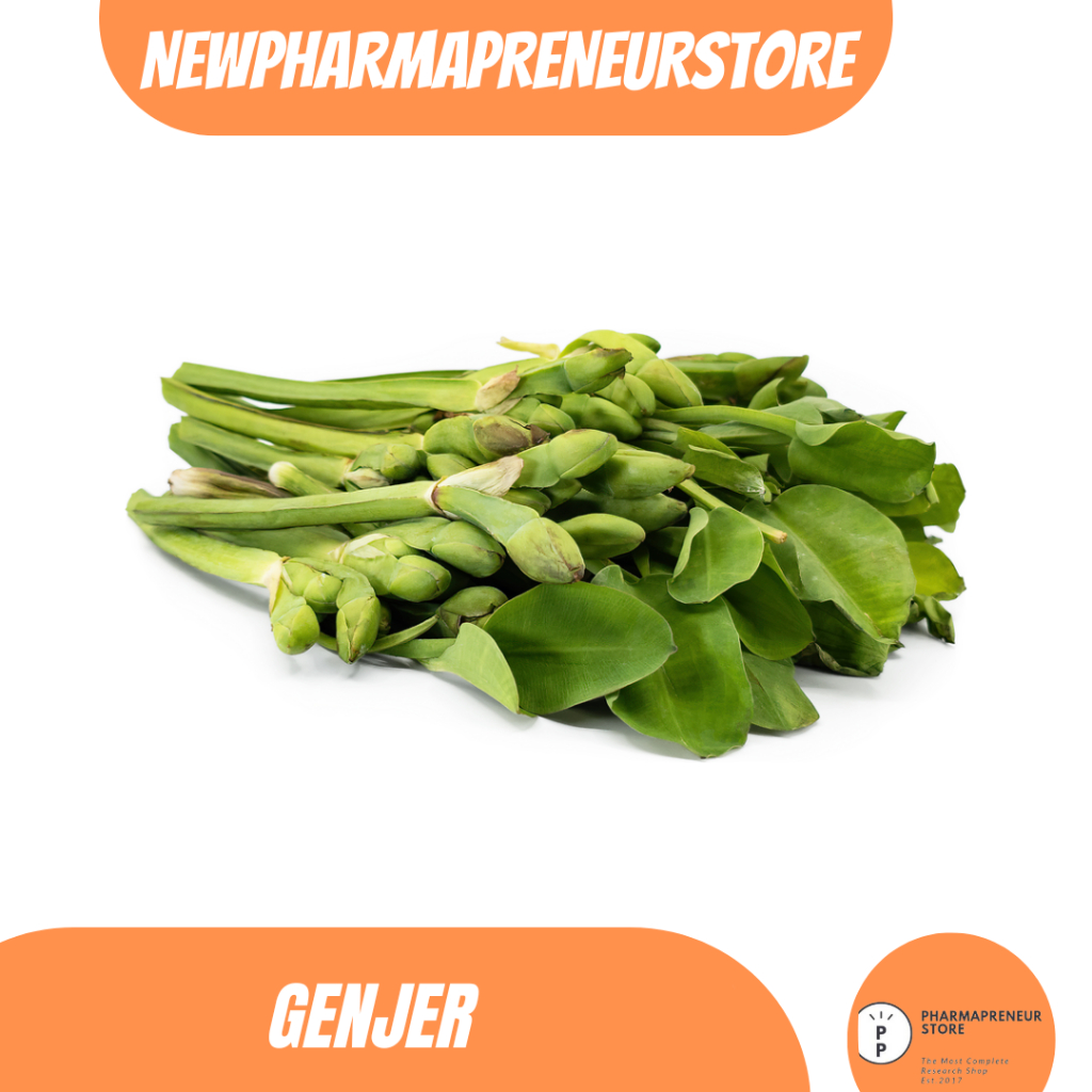 

DRIED SERBUK BUNGA GENJER BEST QUALITY