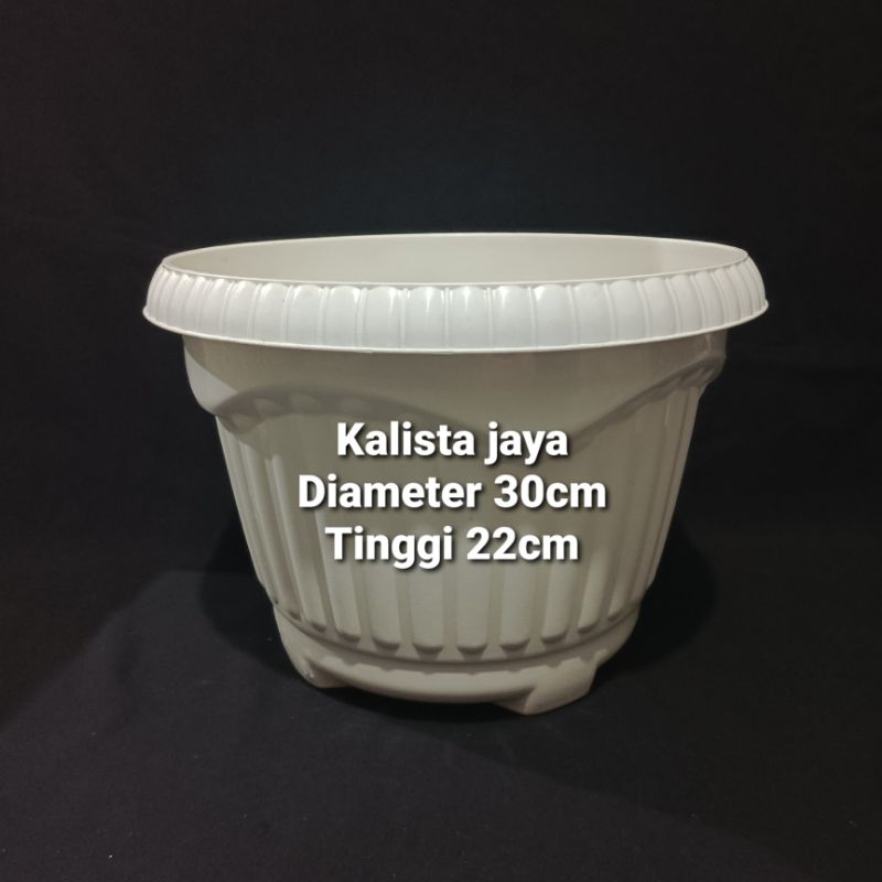 POT TANAMAN PLASTIK BULAT DAHLIA PUTIH 30CM POT PLASTIK DAHLIA DIAMETER 30CM