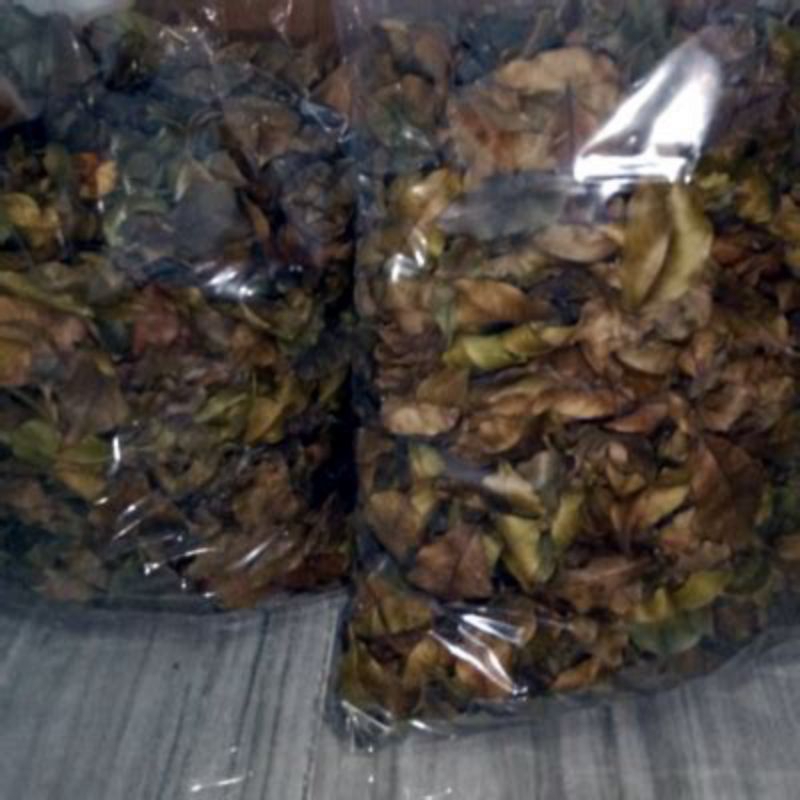 

Herbal Daun gaharu asli kalimantan 500grm
