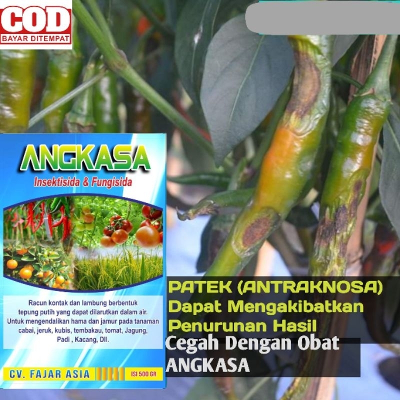 BISA COD - Obat ANGKASA,obat Patek cabai, Fungisida, Insektisida Angkasa,obat kutu daun,obat ulat,ob