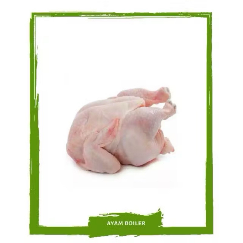 

Ayam Utuh / Daging Segar By Sayur Mallah