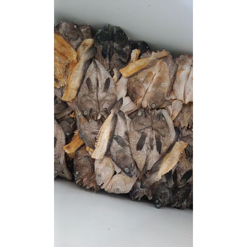 

ikan asin