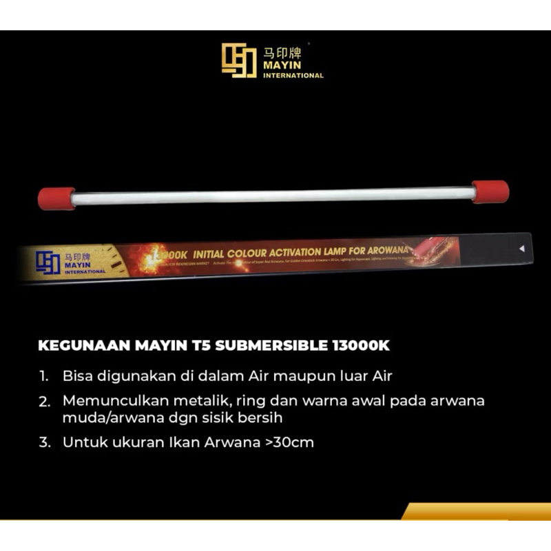 Mayin Kepala Airdan Activasi Lampu T5 Submesible 13000K