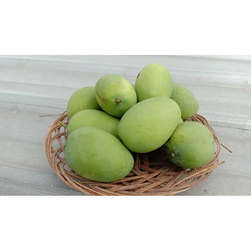 

promo mangga muda rujak 1kg