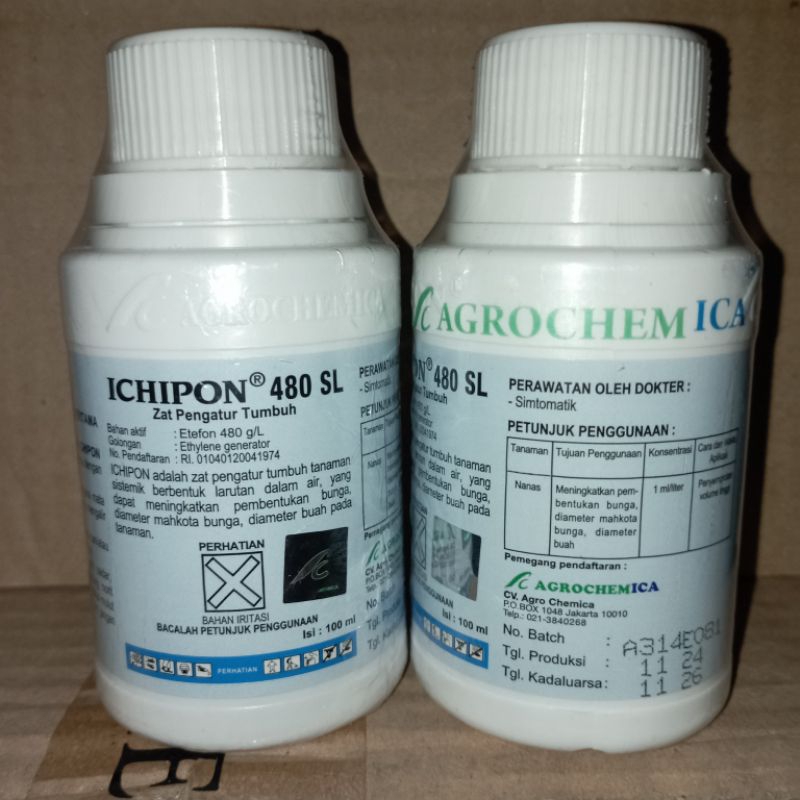 Ichipon 480 SL 100ml