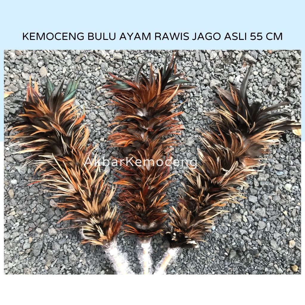 Kemoceng bulu ayam jago asli ukuran 60cm kemoceng mobil sulak kemucing bulu ayam jago pejantan murah
