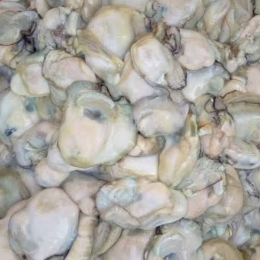 Oyster Daging Kerang Tiram Kupas Segar