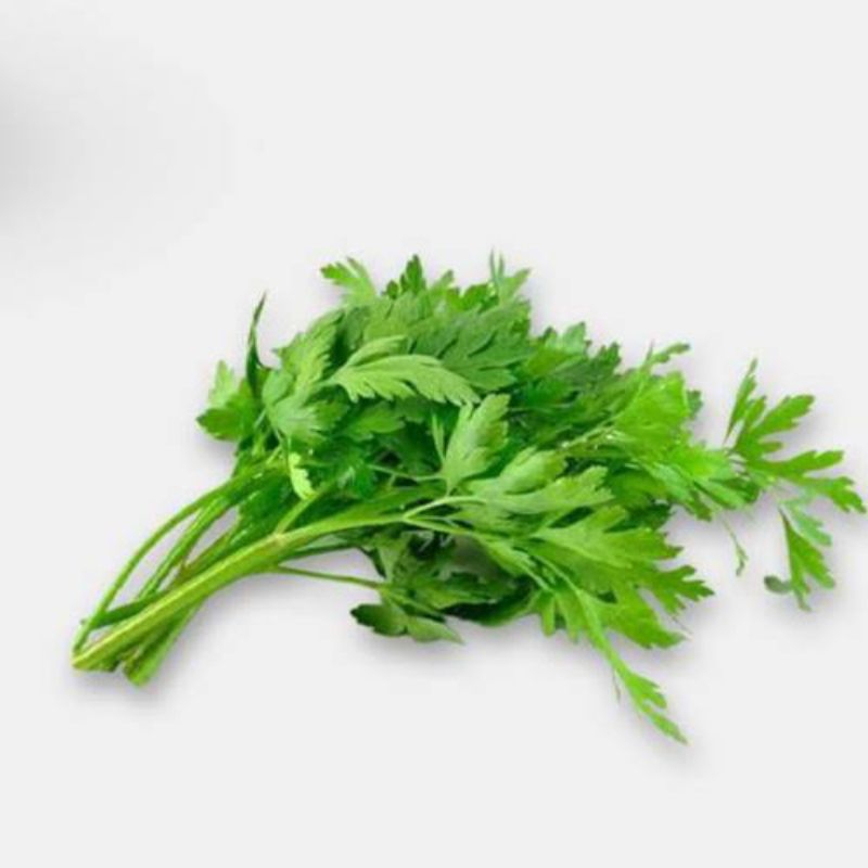 

Seledri Per Ikat Kecil / Daun Sop Ikat Kecil