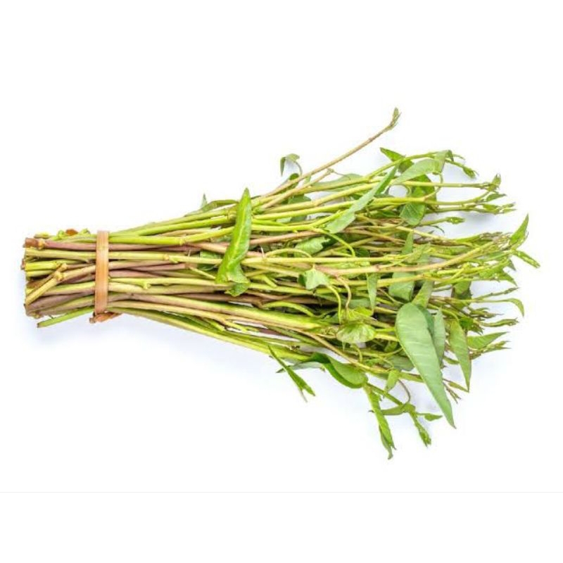 

Kangkung Kampung / Kangkung Air Segar