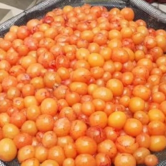 

telur muda ayam full telur tanpa uritan murah banget 1 kg