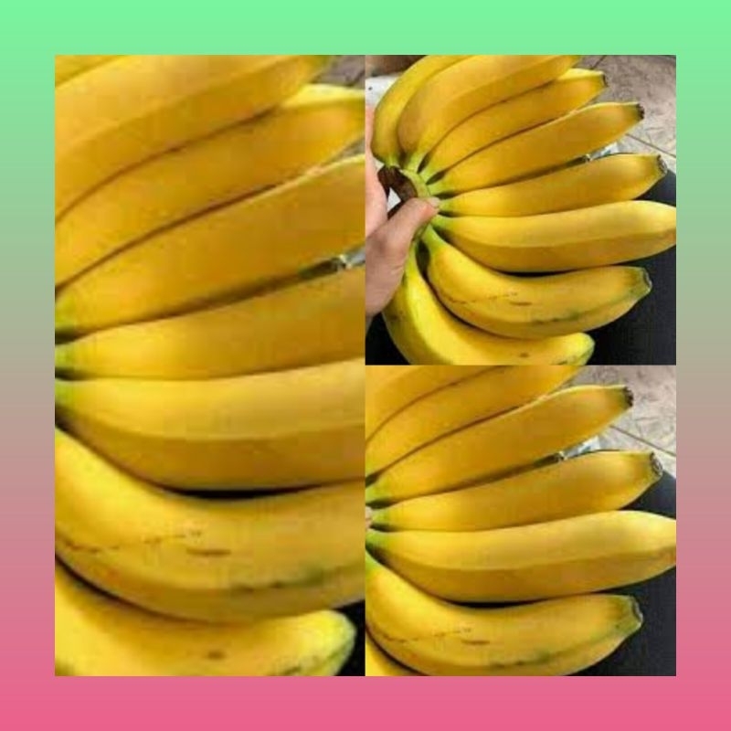 

Pisang Ambon 1 kg segar | buah pisang Ambon | Pisang Ambon super 1 kg | Pisang Ambon segar super 1 kg