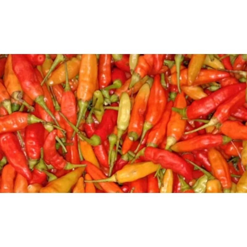 

CABE SUPER 1/2 KG