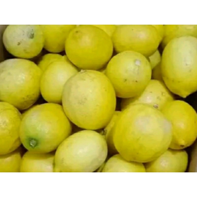 

lemon