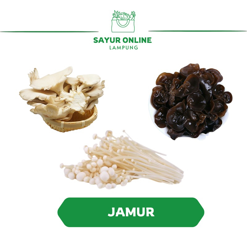 

Aneka Jamur /Jamur Tiram / Jamur Kuping /Jamur Enoki - Sayur Online Lampung