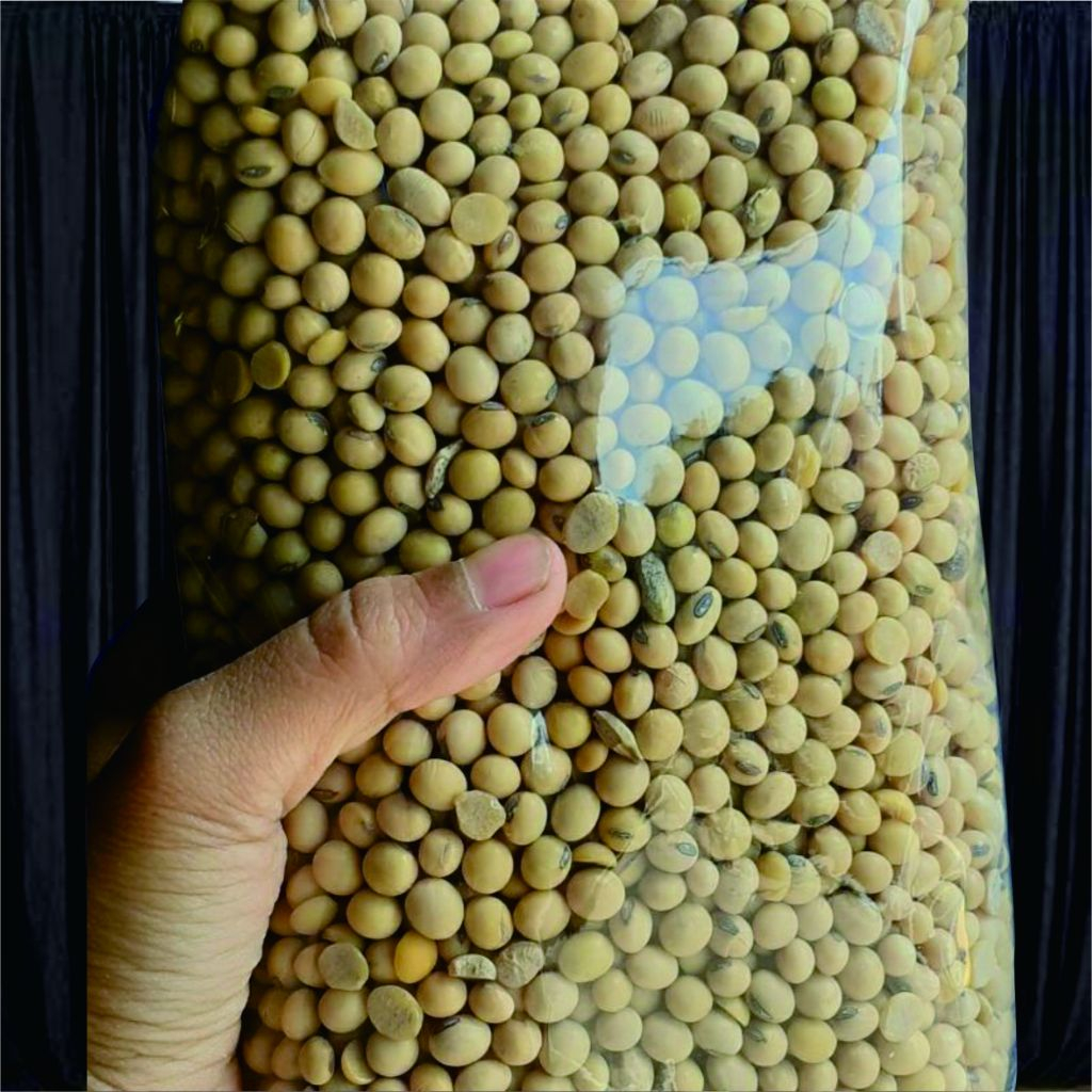 

Kacang Kedelai 1 kg