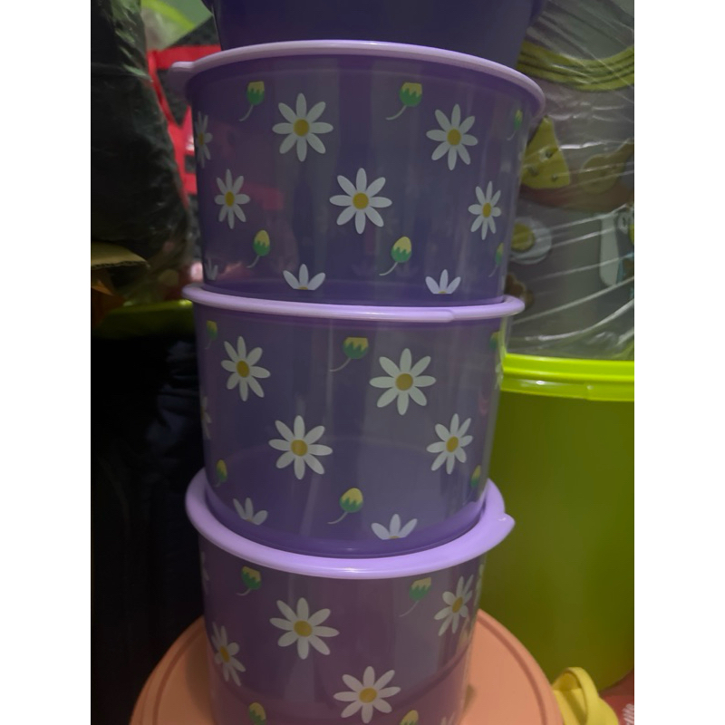 toples moorlfie purple daisy