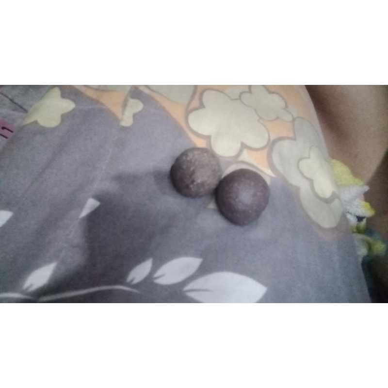 munta besi daging original