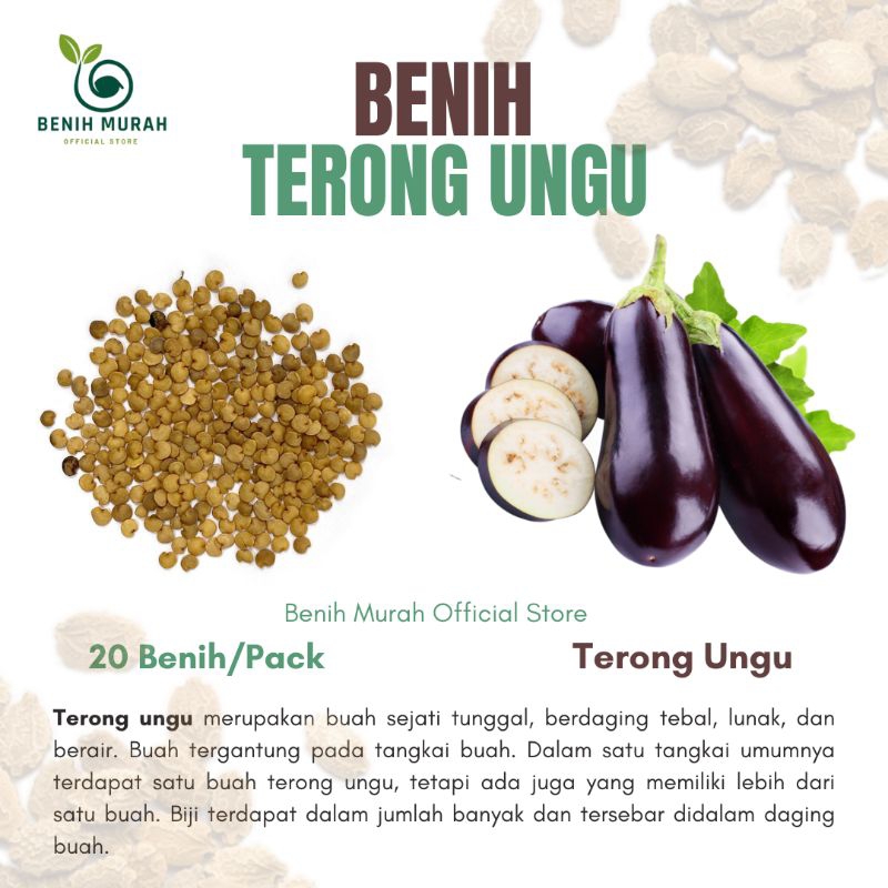 

TERONG UNGU
