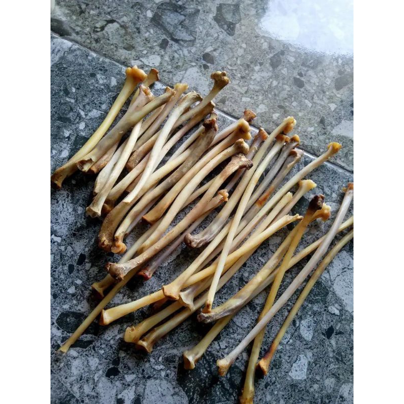 bahan tulang kalong spesial