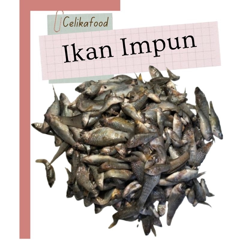 

Ikan Impun 250gr Kecil Mentah Fish Seafood