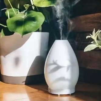 LUSTRE ARTISAN DIFFUSER FREE: POUCH OIL & OIL RACK