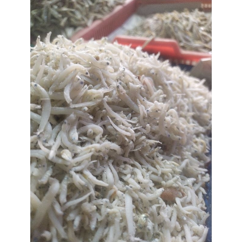 

IKAN ASIN TRI MEDAN PUTIH