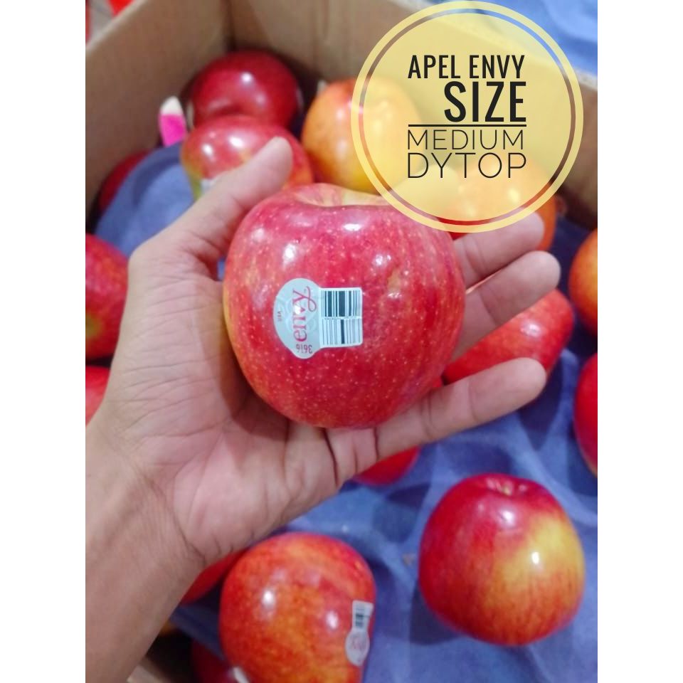 

Buah Apel ENVY USA New Zealand Import Fresh Manis Segar - Per 1 Kg