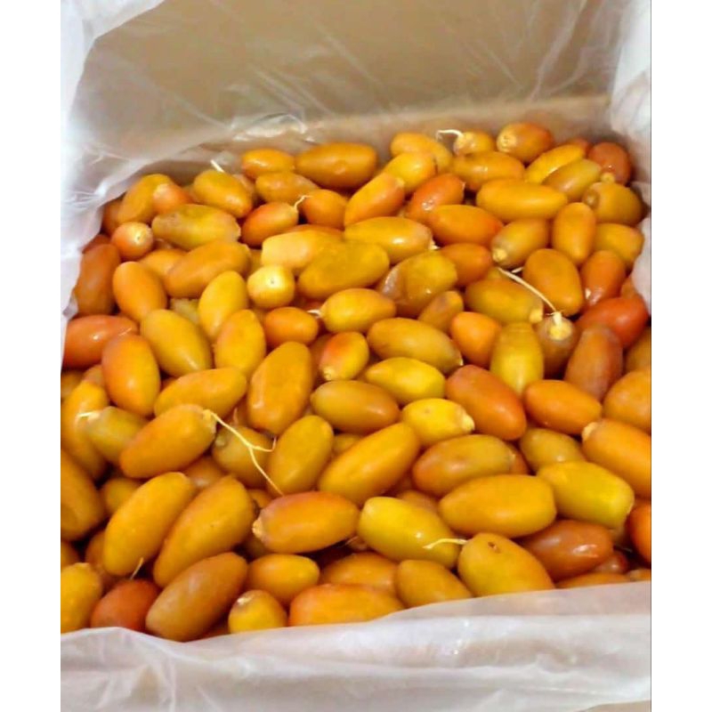 

Kurma Muda Ruthob Premium 250gr REPACK