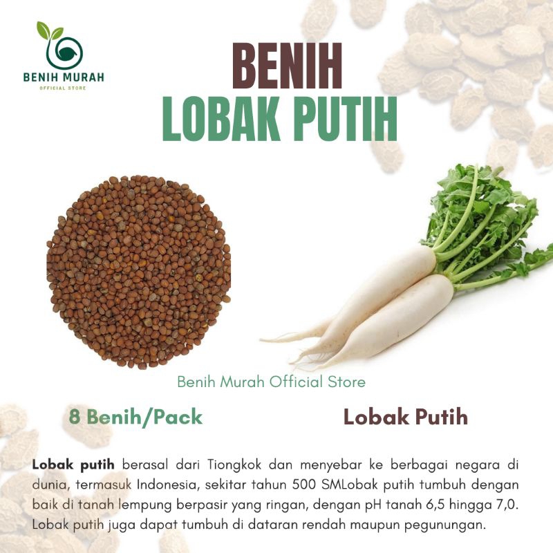 

Bibit Lobak Jepang /Bibit Lobak Putih