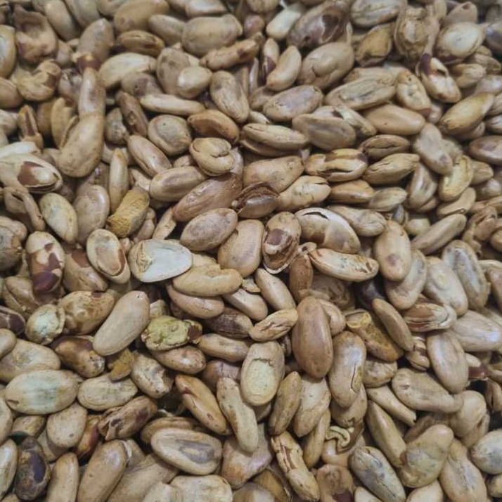 

Kacang Herbal Sengon 50 gram