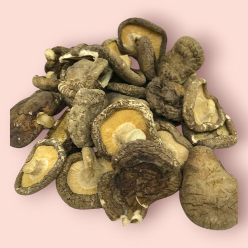 

Jamur Hioko super 100 gram