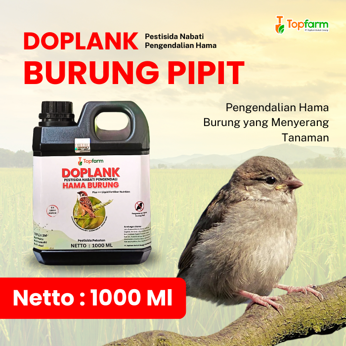 Pestisida Topfarm / Pestisida Pembasmi Burung Pipit / Pestisida Untuk Burung Pipit / Insektisida Unt