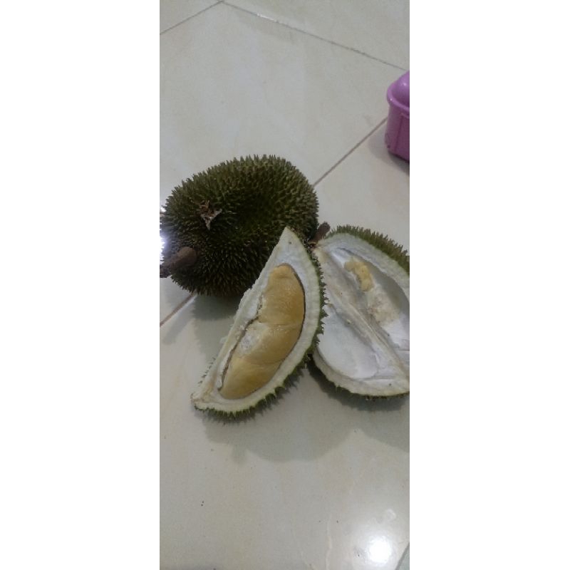 

Durian Ulu Ogan Baturaja