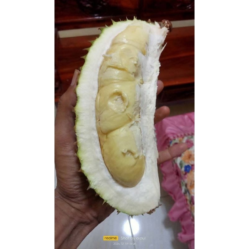 

Duren lokal jumbo -+2kg