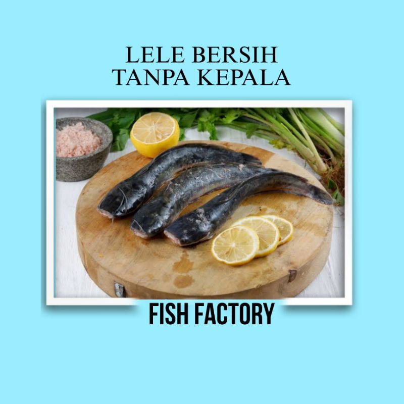 

IKAN LELE BERSIH / LELE TANPA KEPALA / IKAN LELE