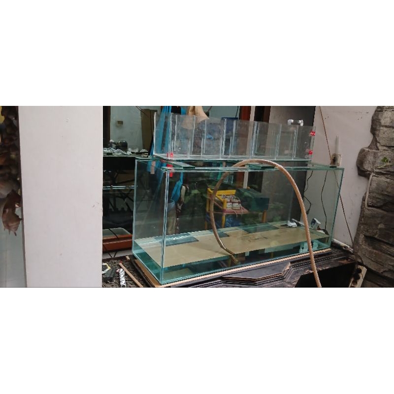 aquarium dinding/sekat rumah 100cm x 25cm x 50cm kaca 8mili