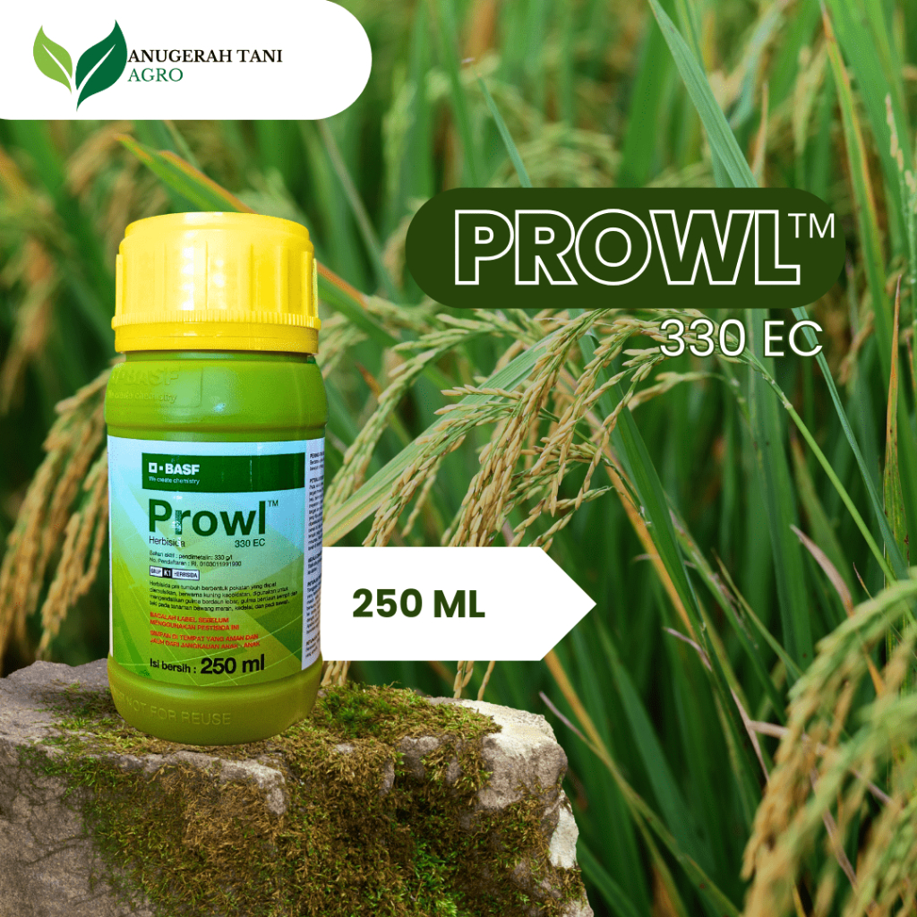 PROWL 330 EC Herbisida Pra Tumbuh