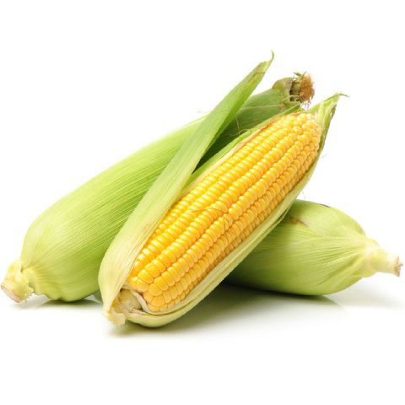 

Jagung Manis Brokoli Kembang Kol Labu Siam