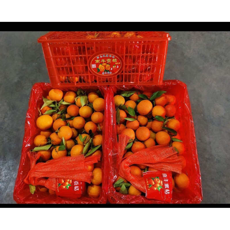 

Jeruk Santang 1 Keranjang