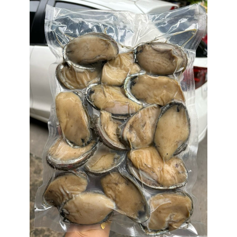

KERANG ABALONE FRESH BEKU 1kg